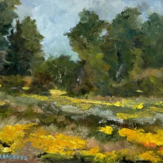 September Blooms National Arboretum by Jennifer Tallarico