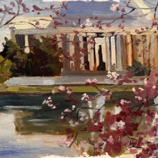Jefferson and the Cherry Blossoms by Ann Tannous