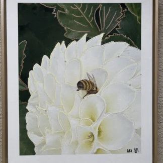 Bee on White Dahlia by Alfa Tate-O'Neill