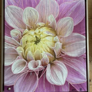 pink mum by Alfa Tate-O'Neill