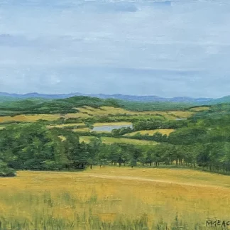 Distant Meadows by Maragret Teague