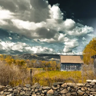 The Storm Beyond by Tina Falkenbury