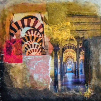 Recollecting Córdoba by Tina Falkenbury