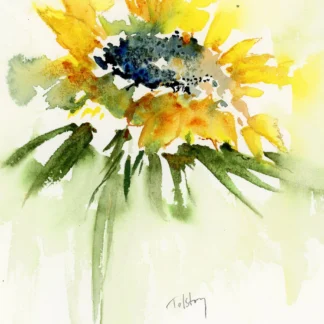 Sunflower in Bloom by Alex Tolstoy