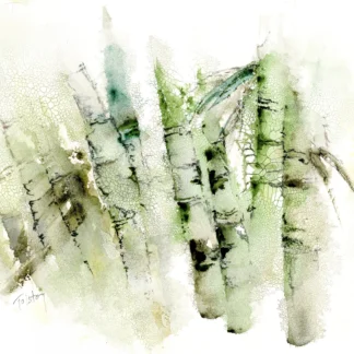 Bamboo Forest by Alex Tolstoy