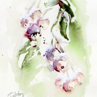Berries Snowed Under by Alex Tolstoy