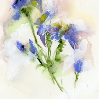Irises 2 by Alexandra Tolstoy