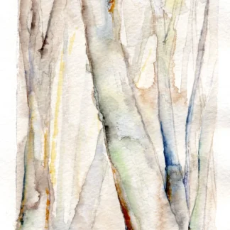 In the Woods V by Alex Tolstoy