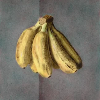 Lady Fingers by Fred Tyner