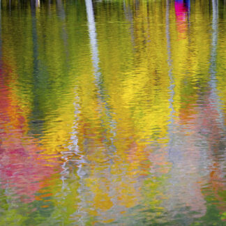 Color of My Life by Haesoon Wethington