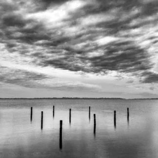 Solomon's Island View by Willa Friedman