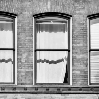Three Windows by Willa Friedman