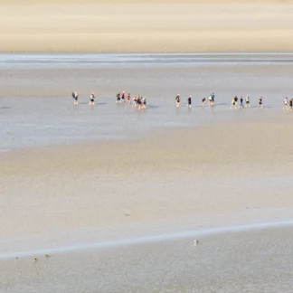 People Walking in the Calling by Inji Woo