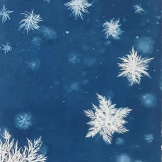 Christmas Night by Eileen Yeager