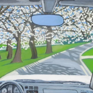 Driving Through Cherry Blossoms, Kenwood, MD by Paul Zapatka